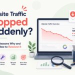 Website Traffic Dropped Suddenly?